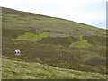 Lonely bothy on the Cromdale Hills in AB37 9HN