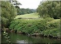 River Avon and Meadows in BA2 6TW