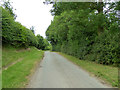 Lane towards Denston in Denston