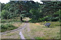Path and seat on Oxshott Health in KT22 0PH