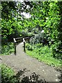 Footbridge on path to Purin Hill, East Lomond in KY7 6TN