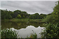 The pond in Gilroy Nature Park in CH48 6HD