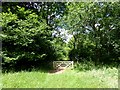 Gate to Waste Bottom in GL8 8UR