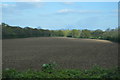 Field near Copthall Covert in UB9 6JL