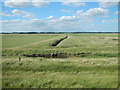 St Osyth Marsh in CO16 8ET