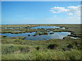 Brackish Ponds in CO16 8ET