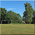 Goal and Tree in Playing Field, Aldeby in Burgh St Peter