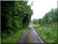 Track to Shielknowes in FK1 3DZ