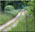 Public bridleway along the Peddars Way in PE32 2JR