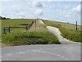 Track to Combe Gibbet in RG17 9QJ