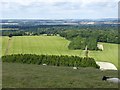 Hillside at Inkpen Hill in RG17 9QJ