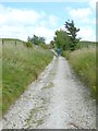 Wayfarers Walk on Walbury Hill in RG17 9ED
