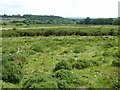 Rough grazing on Catherton Common in DY14 0HY