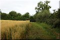 Path near Old House Farm in WR10 3EW