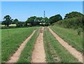 Farm track, north of Talaton in EX5 2RP