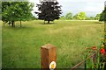 Sheep pasture, Little Comberton in WR10 3EW