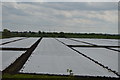 Plastic field, Holt Fen in CB6 3HR