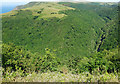 Hillside above the East Lyn River in EX35 6EP