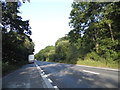 Layby on the A31, Sleight in BH21 3EE