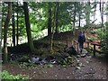 Footbridge over Wynlass Beck in LA23 1ET