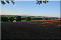 Mid Devon : Ploughed Field in EX17 5LE