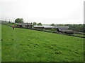 Cumbria  Way  toward  Stony  Crag  Farm in Osmotherley