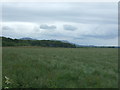 Grassland off the A701 in EH26 8PW