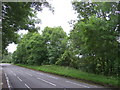 Trees beside Edinburgh Road (A701), Milton Bridge in EH26 0RB