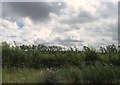 A421 lay-by in Cranfield & Marston Moretaine Ward