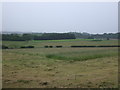 Partly cut silage field off Seafield Moor Road (A703) in EH10 7EA