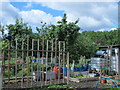 East Hale Allotments in N17 0NU