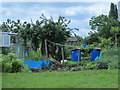 East Hale Allotments (2) in N17 0NU