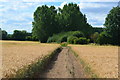 Field path towards Woolhampton in RG7 4LY
