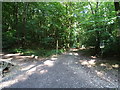 Junction in the Woods in HP13 5YA