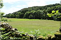 Fields near Goose Howe in LA8 9QY