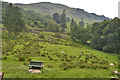 Hillside below Thornhow Crag in CA11 0FJ
