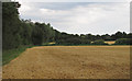 Recently Harvested Wheat Field, near Pigstye Green, Willingale in CM5 0QJ