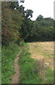Field edge path towards woodland in IP6 0AS