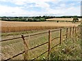 Farmland, south of Bishops Lydeard in TA4 3DL