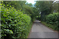 Hog Lane near Woodfield Spring Farm in HP4 3UB