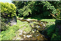 Confluence of Barbrook and the West Lyn River in EX35 6PF