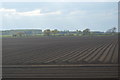 Large ploughed field in CB25 9LP