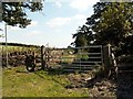 Hollin House Lane Footpath & Stile in HD8 9LG