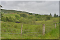 Moorland by the Lusraggan Burn in PA37 1RN