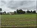 Field of maize, Hilperton in BA14 7RT