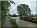 Narrow boat on canal east of Seend Park Farm in BA14 6LQ