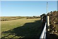Pasture near Moorgate in PL32 9QH