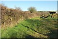 Hedge, field and barn near Pencarrow in PL32 9RU