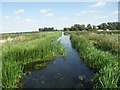 Moreton's Leam (Drain) in PE7 1FU