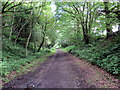 Hen reilffordd / Disused railway in CF44 0RR